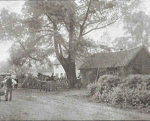 Blacksmith's shop 1904